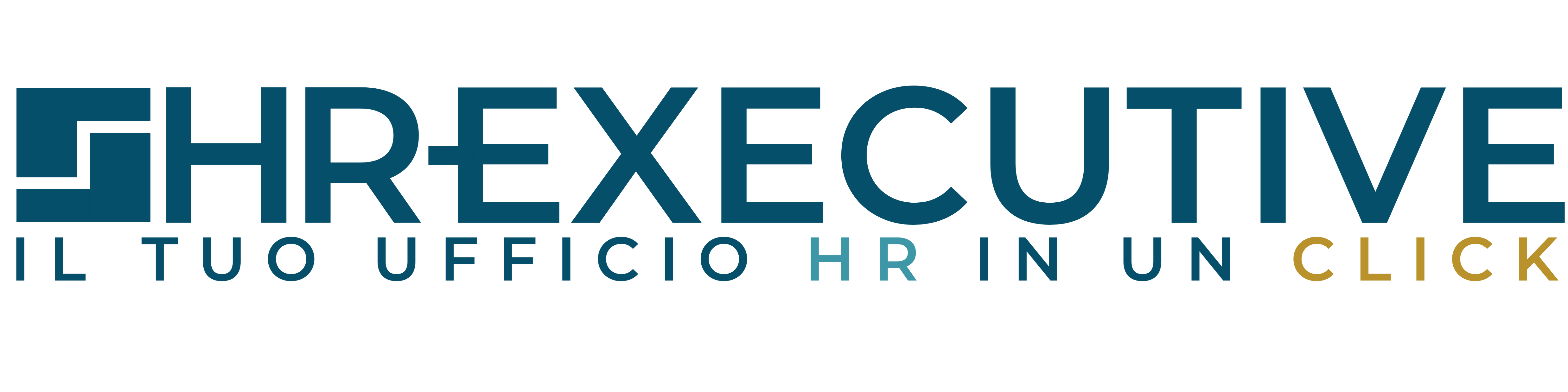 HR-Executive
